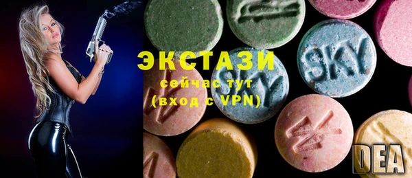 хмурый Арсеньев