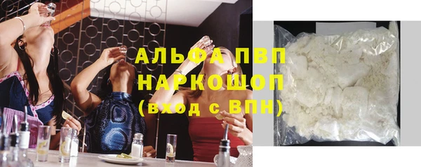 хмурый Арсеньев