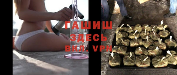 хмурый Арсеньев