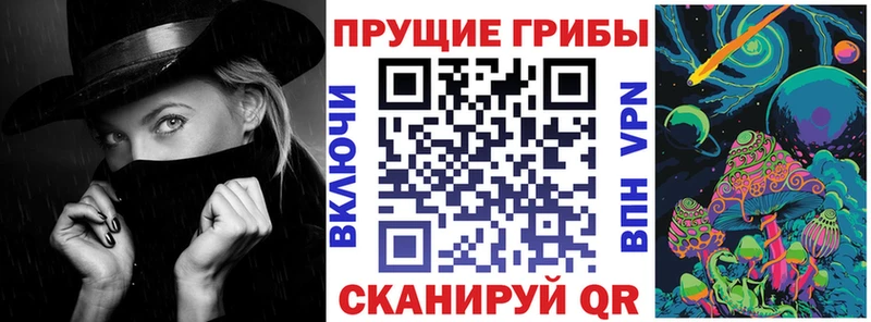 KRAKEN   Усть-Лабинск  Псилоцибиновые грибы мухоморы 